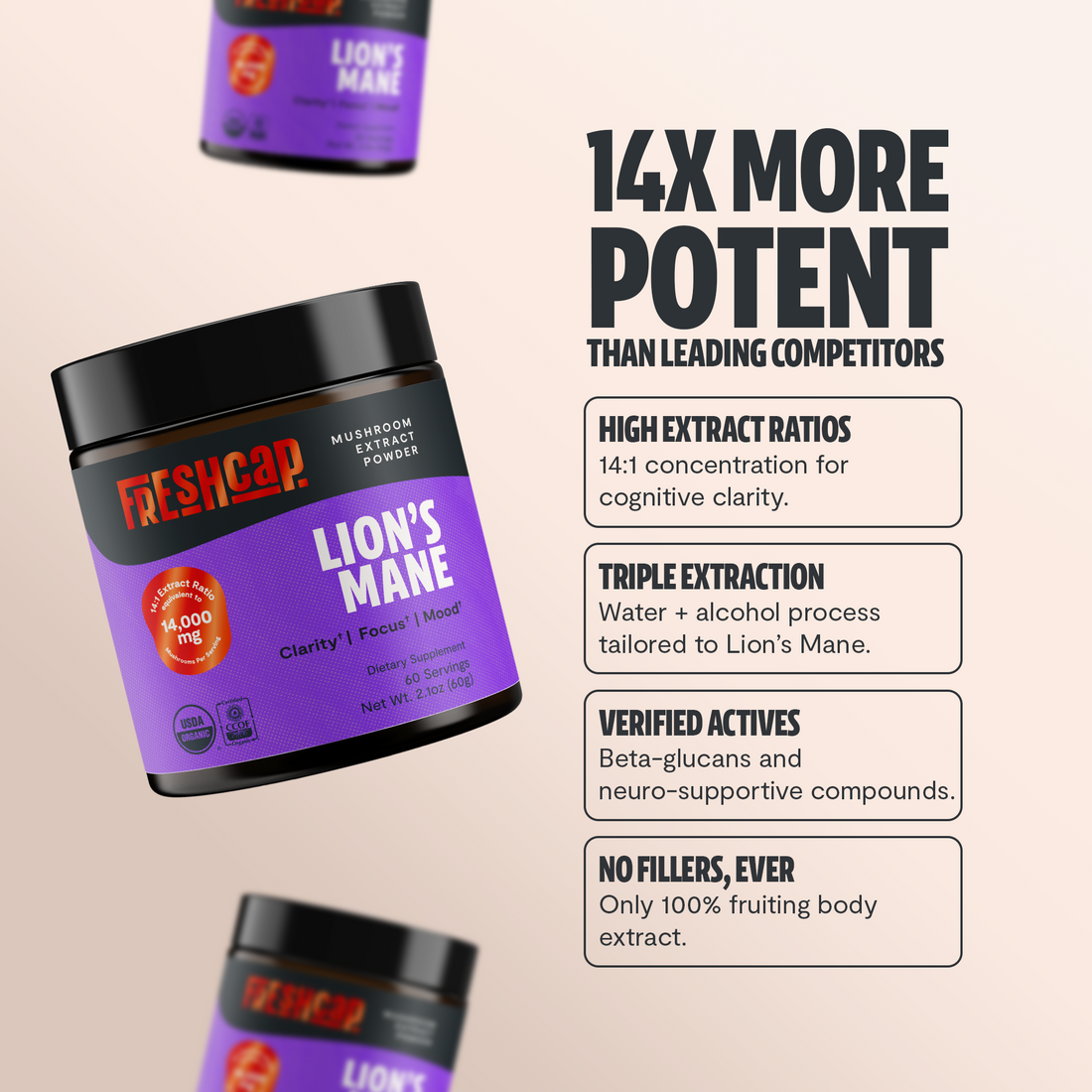 Lion's Mane Mushroom Extract Powder
