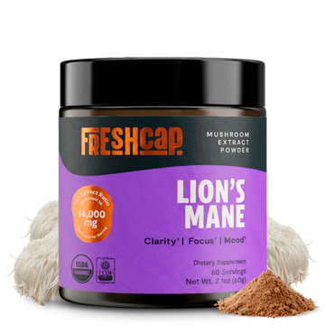 Lion's Mane Mushroom Extract Powder